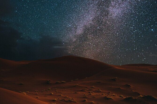 Stargazing in the Desert from Riyadh with Dinner - Experience the Desert Night: A Detailed Breakdown
