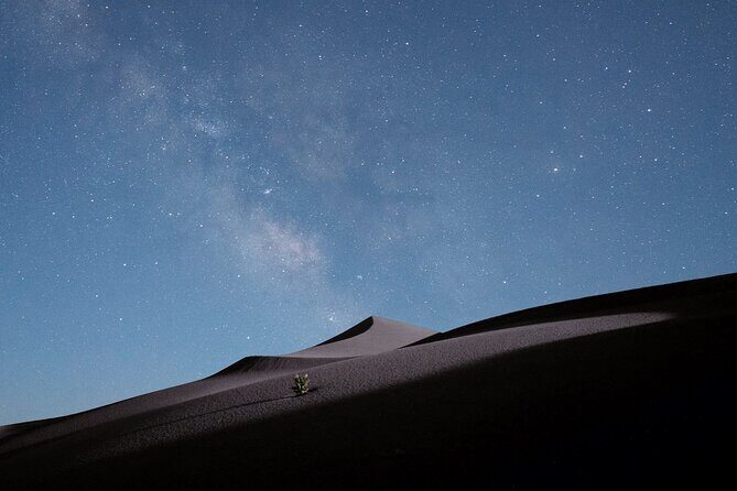 Stargazing in the Desert from Riyadh with Dinner - Who Should Consider This Tour?