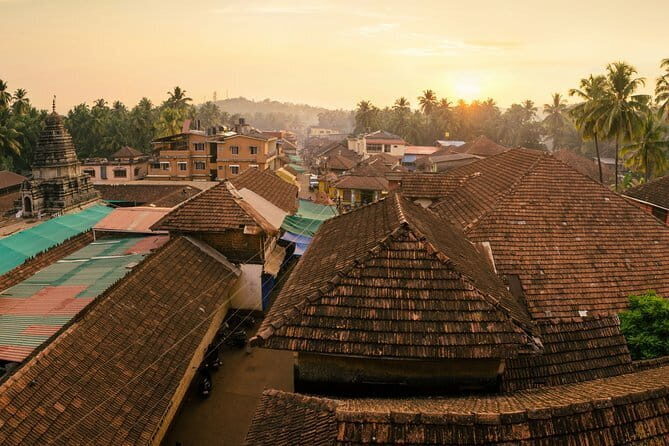 Stargazing Nights in the Kodachadri Forest - The Sum Up: Who Will Love This Tour?