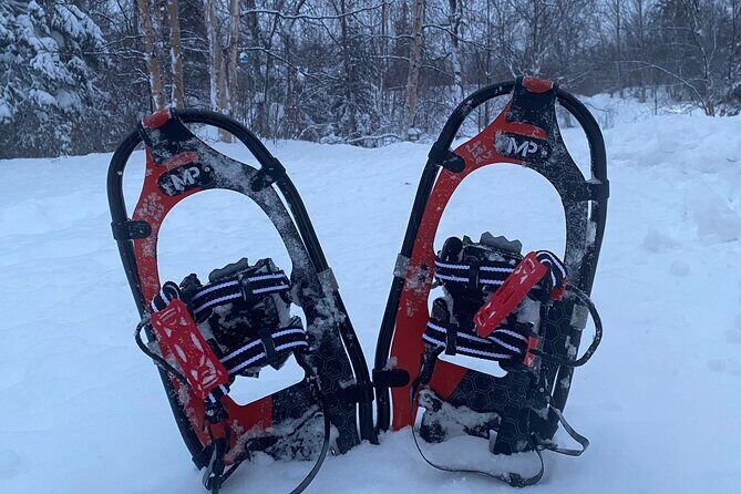 Starlight Snowshoe Adventure in Alaska - Key Points