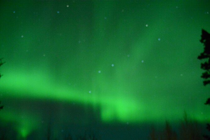 Starlight Snowshoe Adventure in Alaska - Value for Money