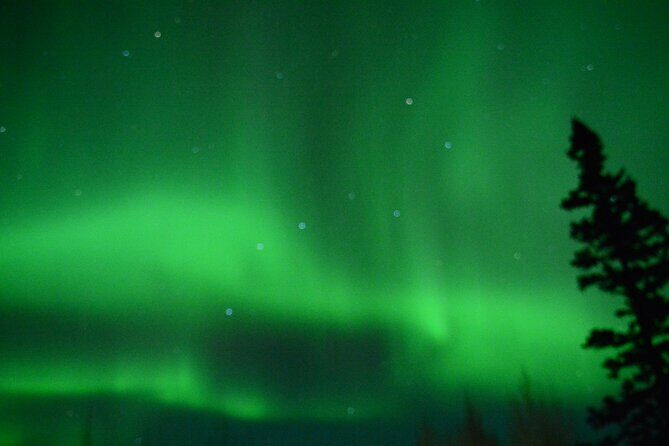 Starlight Snowshoe Adventure in Alaska - Authenticity and Overall Experience