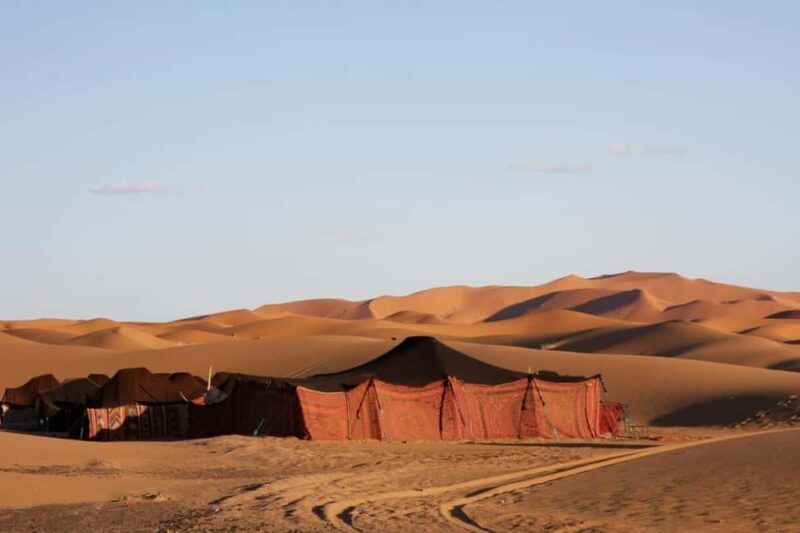 Starry nights at the Majesty of Sahara Desert in Erg chigaga - Is This Tour Worth Its Price?