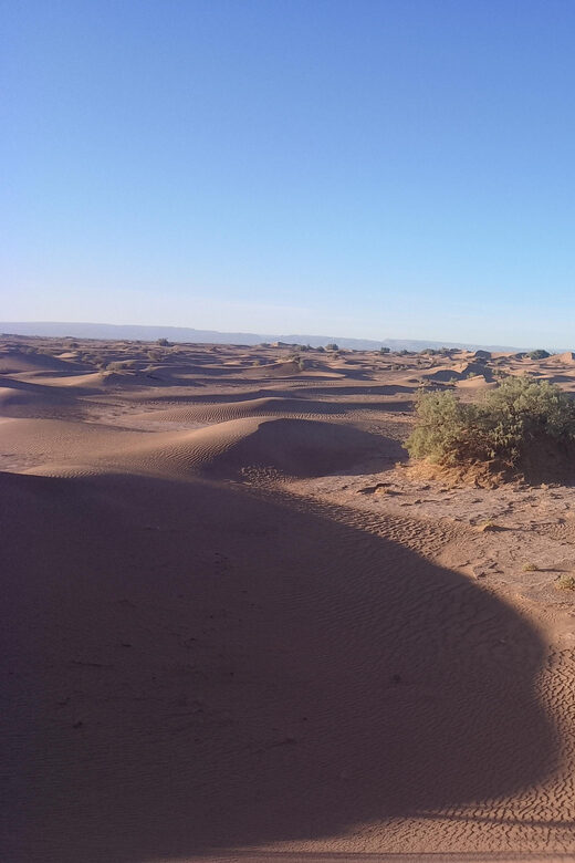 Starry nights at the Majesty of Sahara Desert in Erg chigaga - What Travelers Are Saying