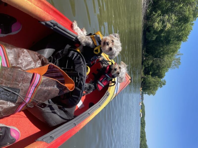 Starved Rock State Park: Guided Kayaking Tour - Key Points