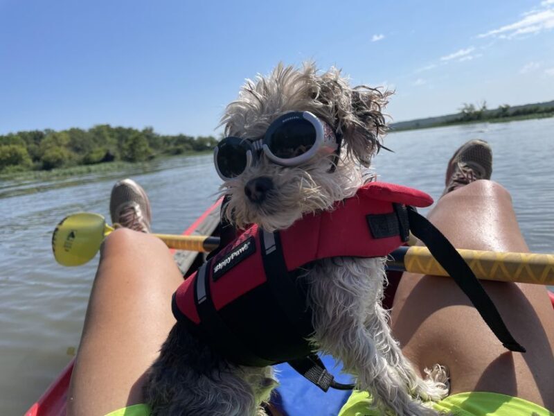 Starved Rock State Park: Guided Kayaking Tour - Who Should Consider This Tour?