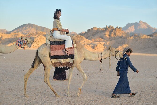 Starwatching, Camel Ride and Romantic Dinner in Hurghada Safari - The Sum Up