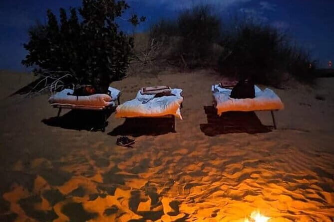 Stay Under The Billions Stars Overnight Camel Safari Tour - The Sum Up