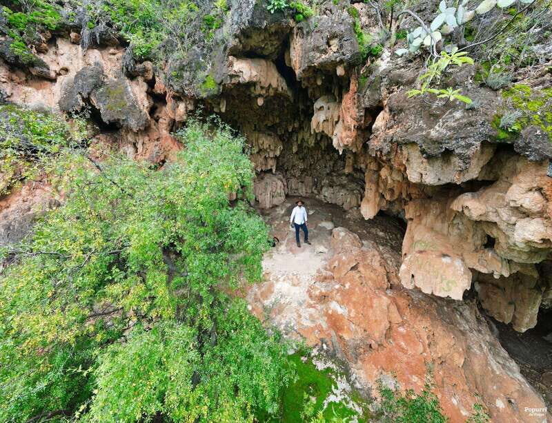 Steer route: Tour of the ruins and tasting in Mazatan - Key Points