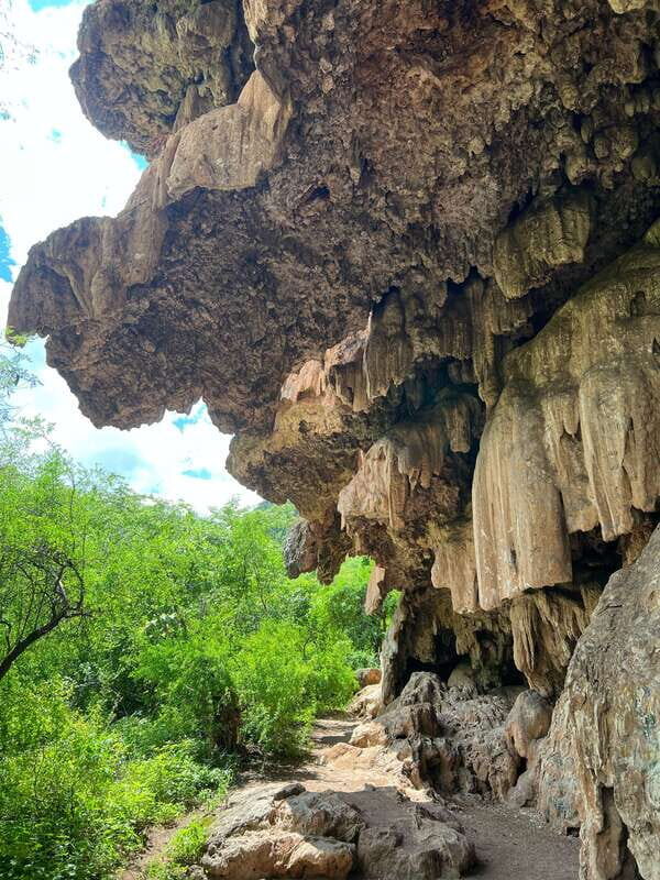 Steer route: Tour of the ruins and tasting in Mazatan - Practical Considerations: Value and Comfort