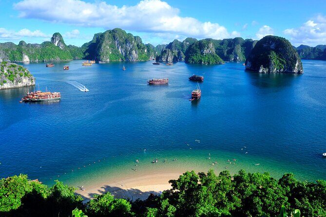 Stellar of the Seas Cruise Halong Bay 3Days 2Night on 5 Star Cruise - An In-Depth Look at the Cruise Experience