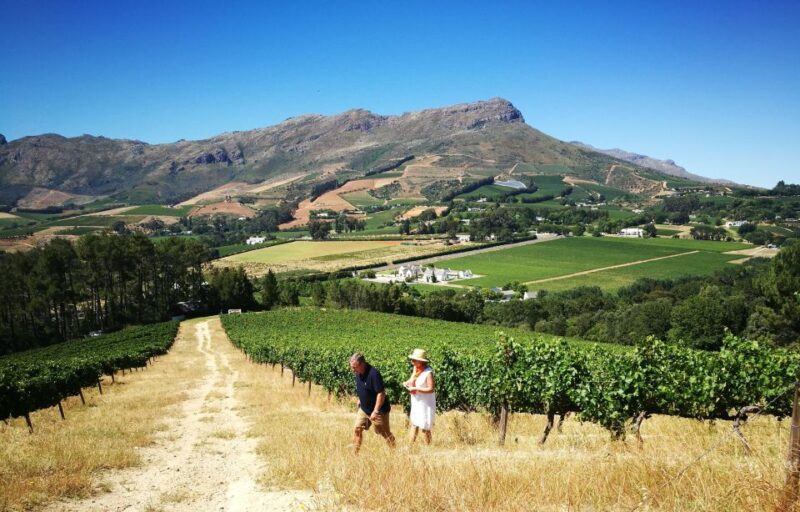Stellenbosch: 4x4 Winelands Private Experience - Key Points
