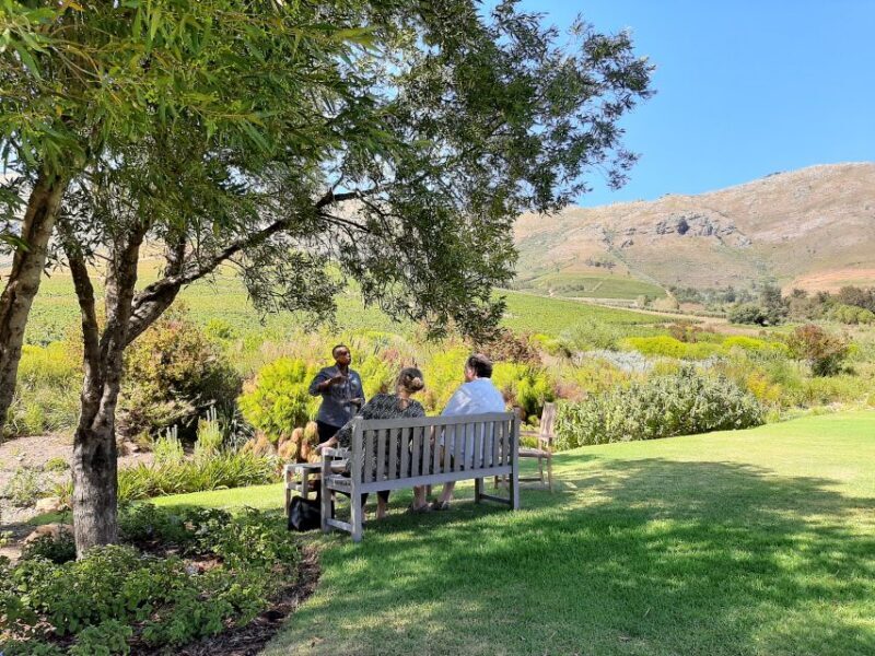 Stellenbosch: Best of the Winelands Private Tour & Tastings - Analyzing the Value
