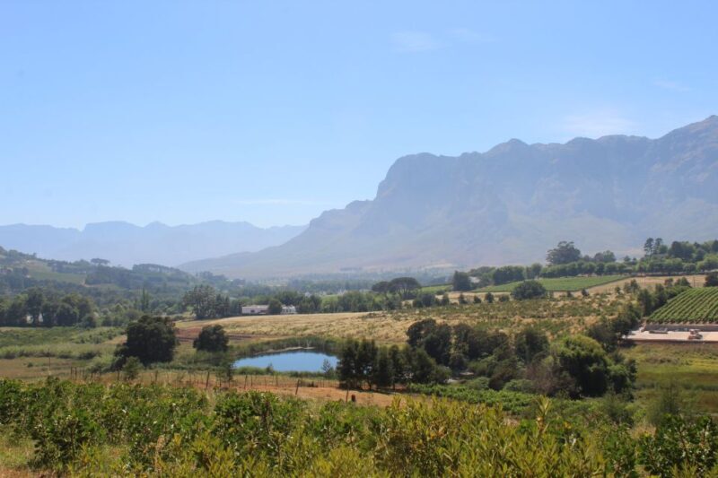 Stellenbosch: Countryside Banhoek valley E-Bike Wine Tour - Key Points