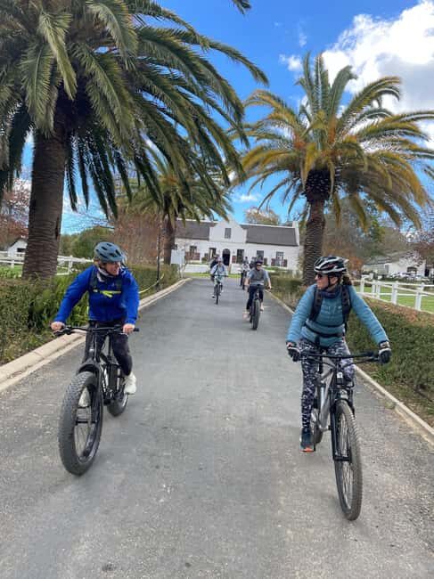 Stellenbosch: Countryside Banhoek valley E-Bike Wine Tour - An In-Depth Look at the Experience