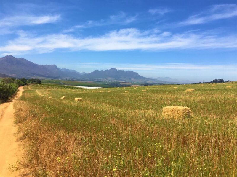 Stellenbosch: Devon Valley Vineyards Bicycle Tour w. Lunch - FAQ