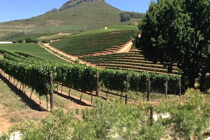 Stellenbosch Franschhoek Full-Day Tour with Cheese Tasting - Key Points
