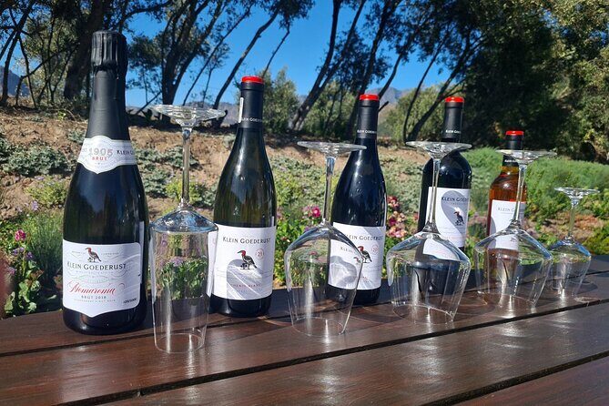 Stellenbosch & Franschhoek Wine Tasting Private Tour incl. Lunch - The Authentic Experience