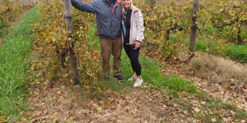 Stellenbosch, Franshoek ,Paarl Region (20 wine tastings) - Who Is This Tour Best For?