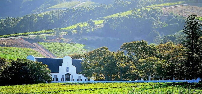 Stellenbosch Giraffe House and Cheetah Outreach with Wine - Key Points