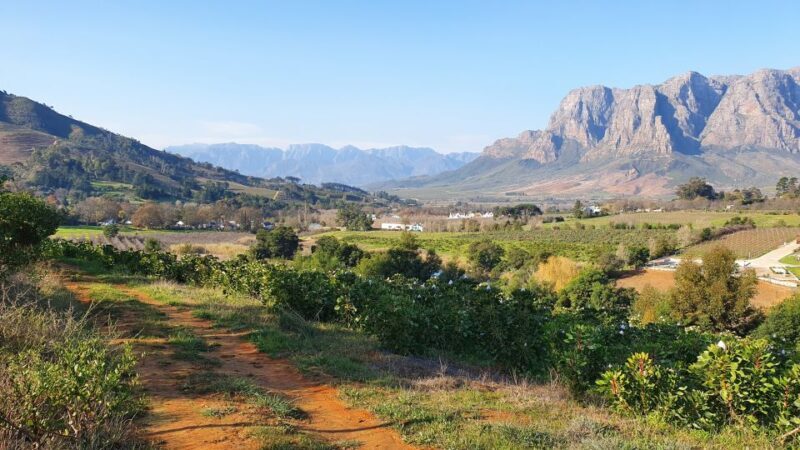 Stellenbosch: Guided Vineyard Hike and Wine Tasting - Key Points