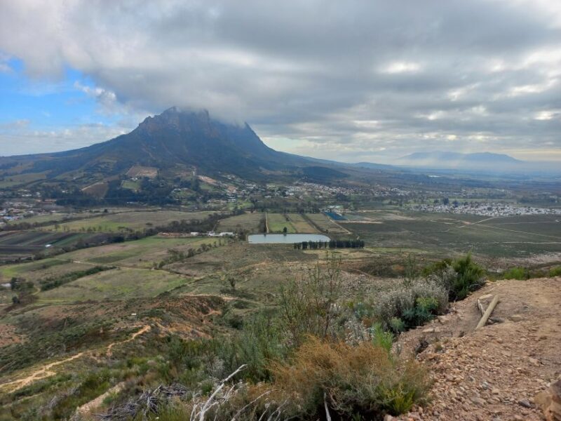 Stellenbosch: Half-Day Guided Nature Hike and Wine Tasting - An In-Depth Look at the Experience