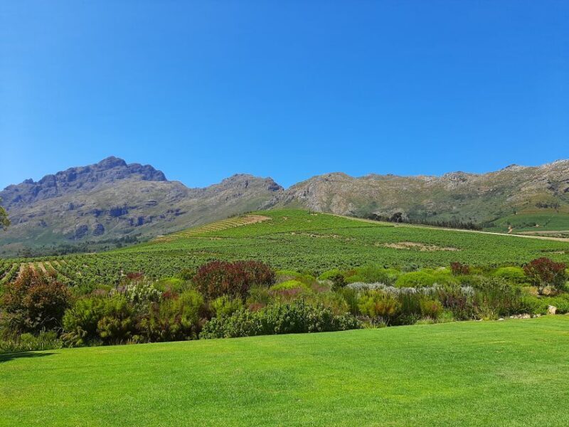 Stellenbosch: Half-Day Guided Nature Hike and Wine Tasting - Final Thoughts