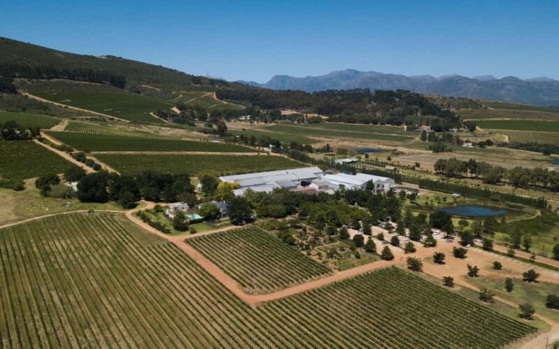 Stellenbosch: Half-Day Wine Tour - Vineyard Visits and Tastings