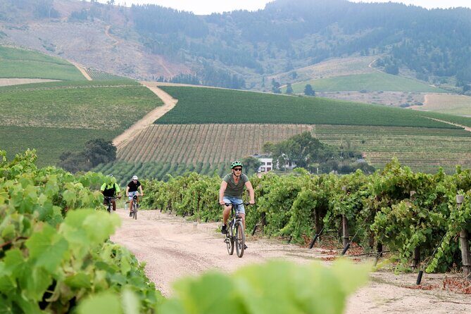 Stellenbosch Half Day Winelands Mountain Bike Tour - What’s Included and What to Expect