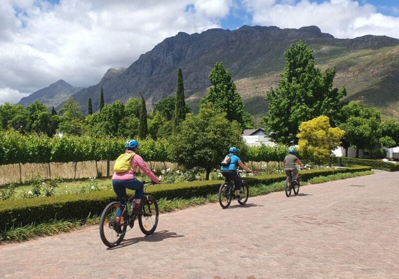 Stellenbosch: Historical Bike Tour & Wine Tasting - What Makes This Tour Special?