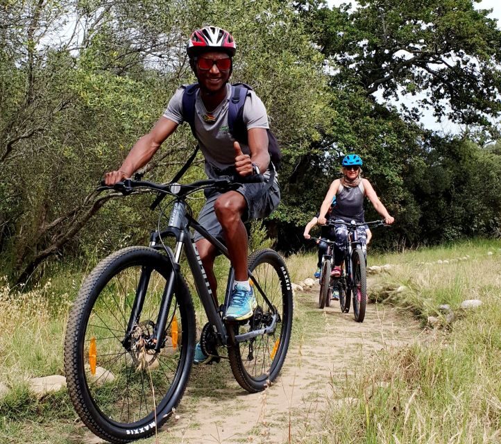 Stellenbosch: Historical Bike Tour & Wine Tasting - Who Is This Tour Best For?
