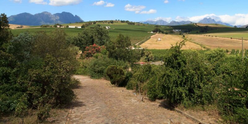 Stellenbosch North Guided Wine Safari (Tastings Excluded) - FAQ