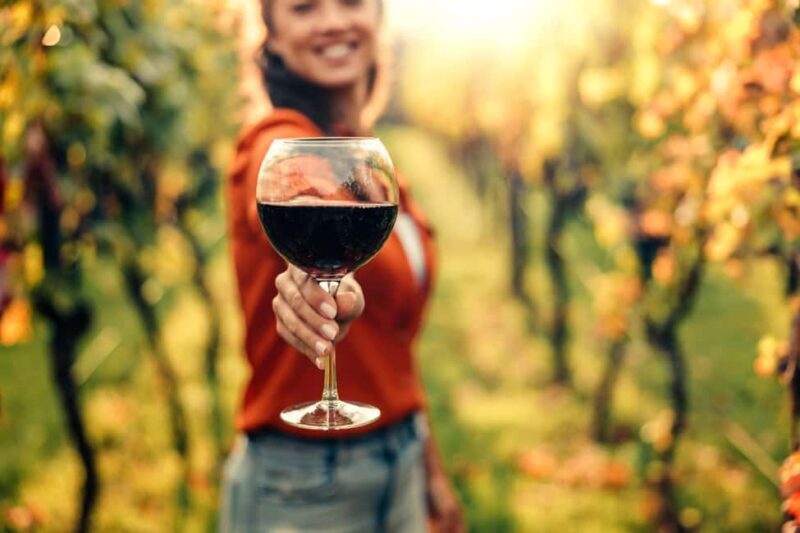 Stellenbosch North Guided Wine Safari (Tastings Included) - A Deep Dive into the Stellenbosch North Guided Wine Safari
