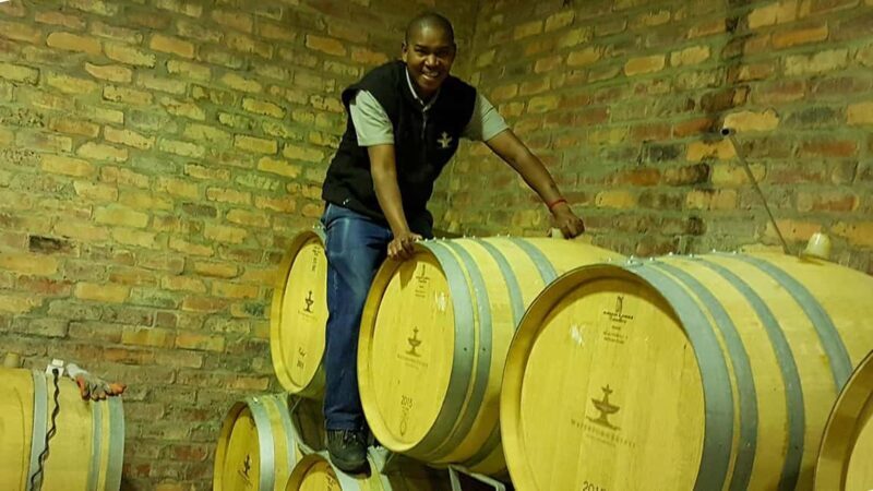 Stellenbosch: Private Wine Tour with a Winemaker. - Key Points