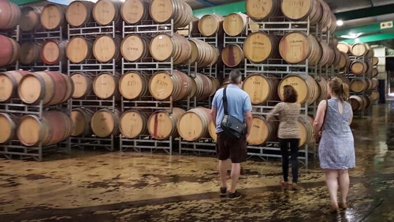 Stellenbosch: Private Wine Tour with a Winemaker. - The Sum Up: Who Should Consider This Tour?