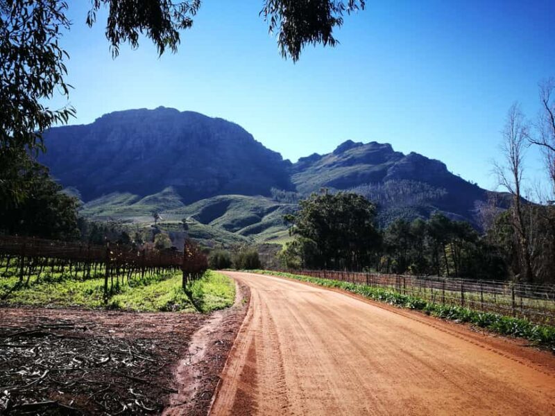 Stellenbosch: Stellenbosch Private E-Bike & Wine Tour - What to Expect from the Tour