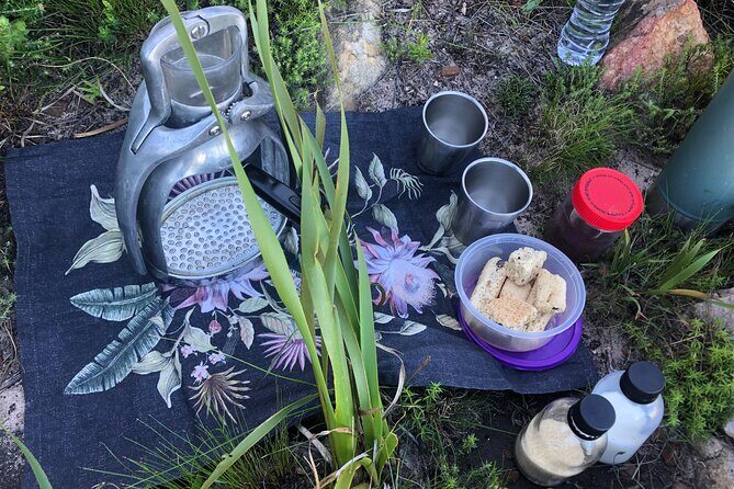 Stellenbosch Waterfall Hike - Banhoek Nature Conservancy - An In-Depth Look at the Experience