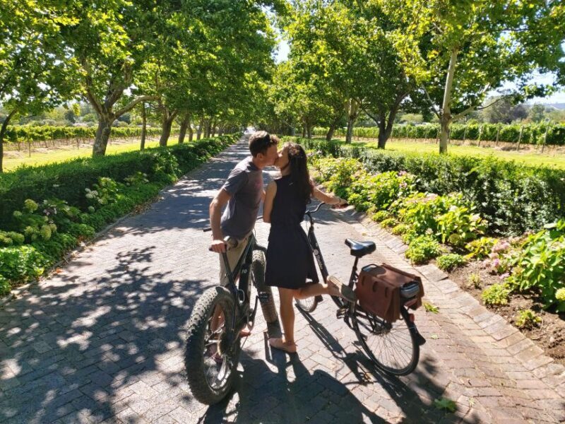 Stellenbosch: Wine Farm E-Bike Guided Tour - Starting Point: Vinebikes E-bike Trail Center on Lanzerac Wine Estate