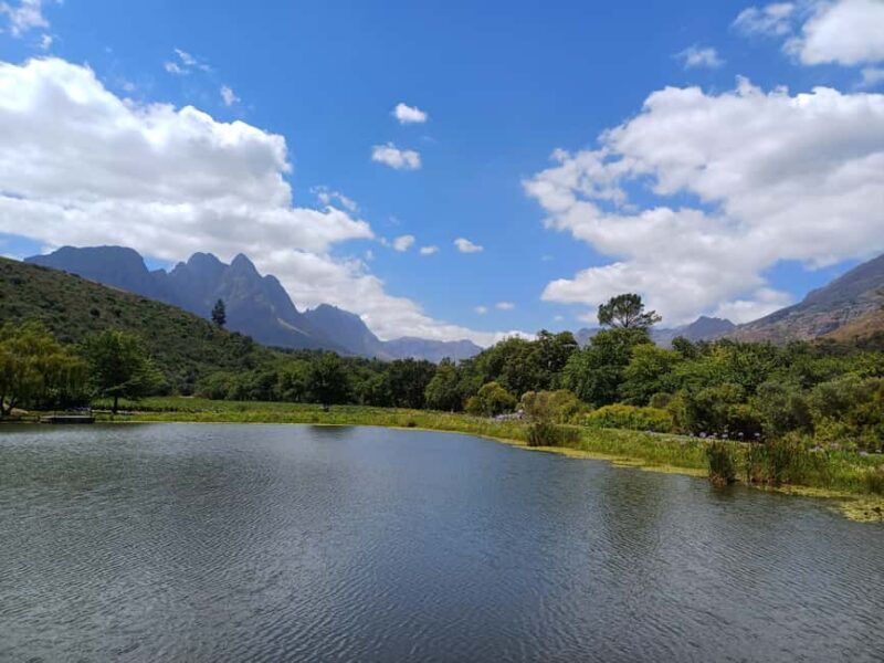 Stellenbosch wine tour, all inclusive of lunch and tastings. - An In-Depth Look at the Stellenbosch Wine Tour