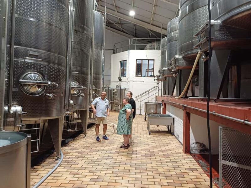 Stellenbosch wine tour, all inclusive of lunch and tastings. - Final Thoughts