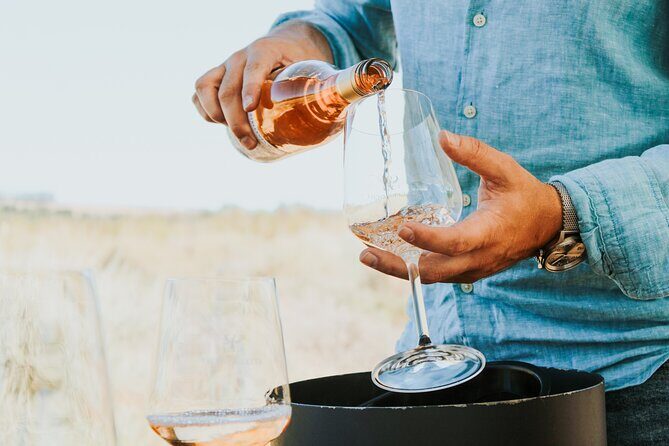Stellenbosch Wine Tour - Practical Tips for Travelers