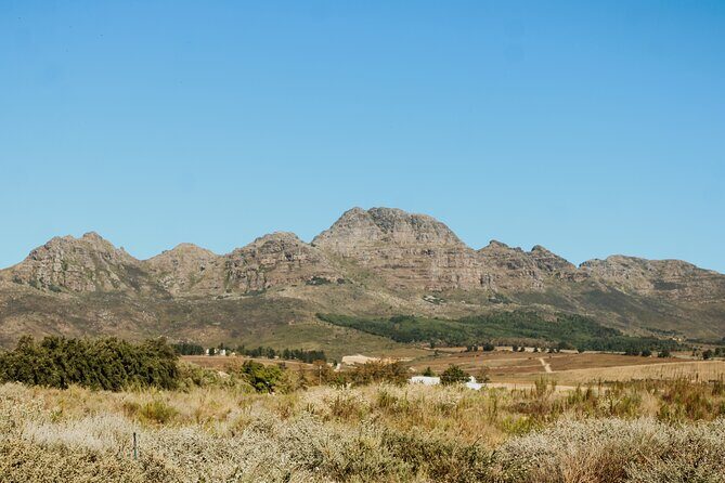 Stellenbosch Wine Tour - In Closing