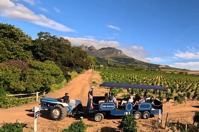 Stellenbosch Wine Tractor hop-on-hop off wine tasting tour - Key Points