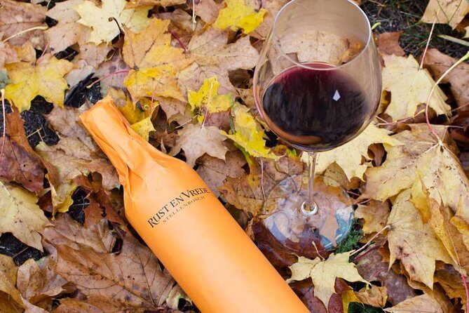 Stellenbosch Winelands Connoisseur Day Tour with Private Transfer - Key Points