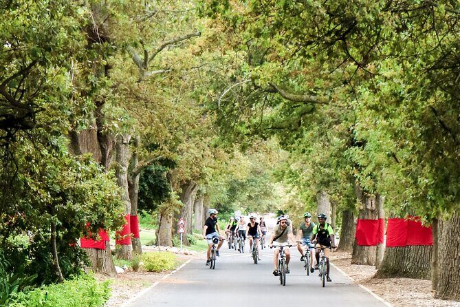 Stellenbosch Winelands Luxury EBike Tour © - A Few Considerations