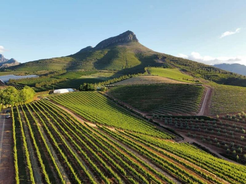 Stellenbosch: Wineries and Safari Tour with Wine Tasting - Key Points