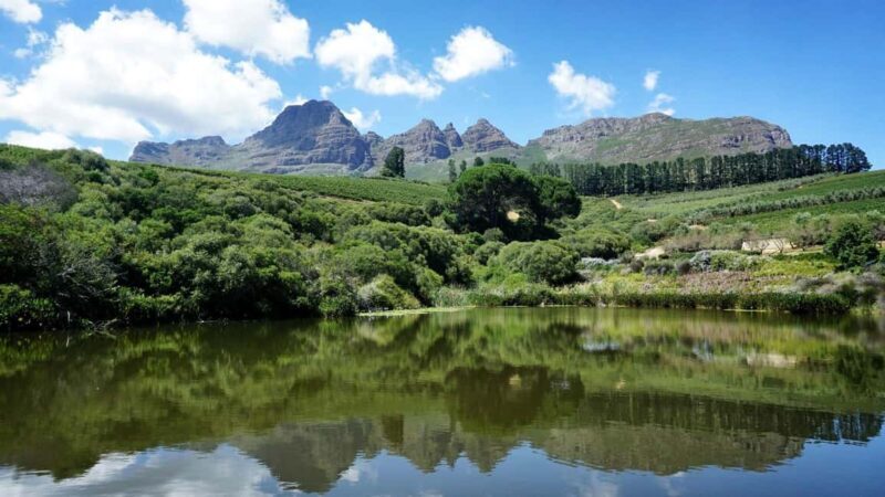 Stellenbosch: Wineries and Safari Tour with Wine Tasting - A Closer Look at the Tour Experience