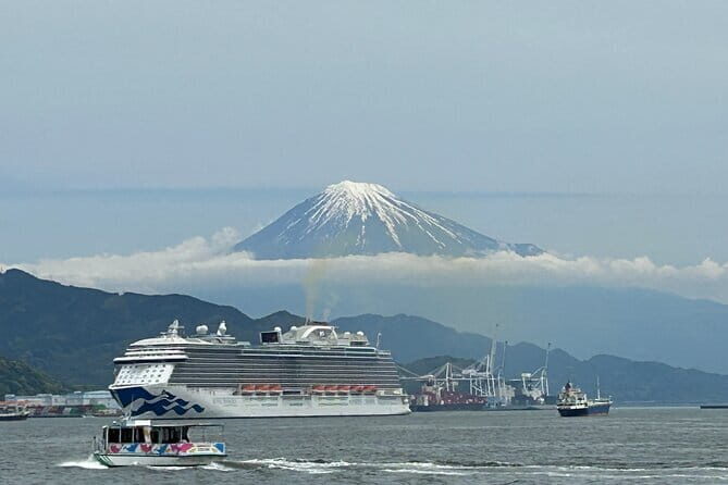 Step-Free Easy going tour from Shimizu Port / Van Taxi - An In-Depth Look at the Tour
