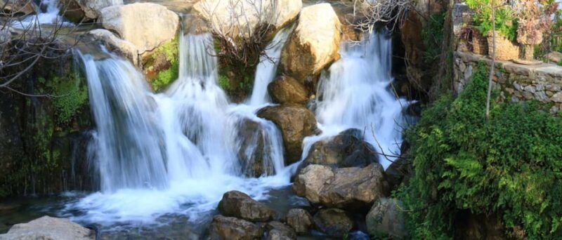 Step into the Blue Chefchaouen Walking Experience - FAQs