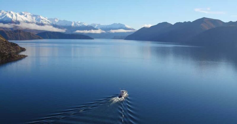 Stevensons Island 2-Hour Cruise and Nature Walk - The Experience in Detail